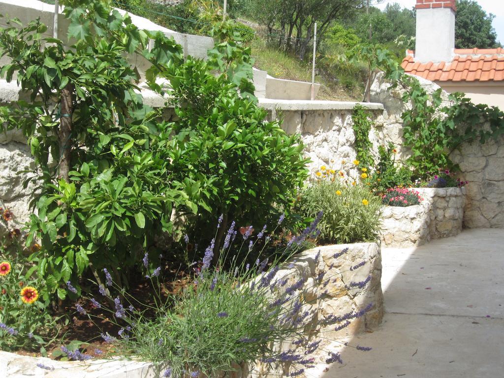 Apartments Rosa Preko Εξωτερικό φωτογραφία