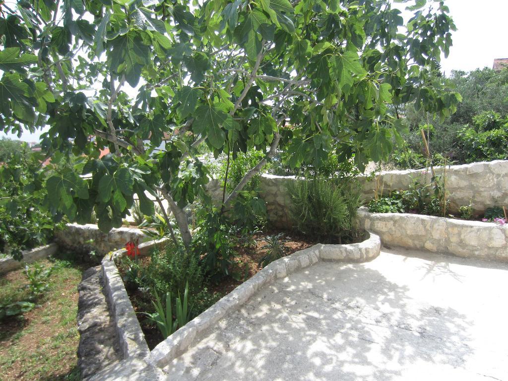 Apartments Rosa Preko Εξωτερικό φωτογραφία